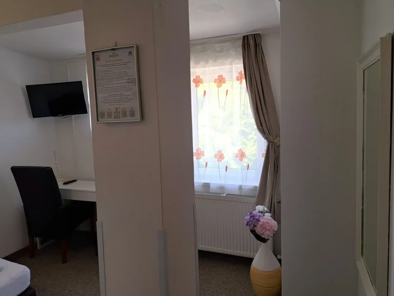 Jednolôžková izba – Penzión Alcorso Banská Bystrica